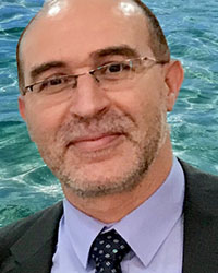 Professor Mohammed Seaid